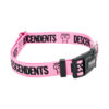 Descendents Pinnk Buckle_.jpg