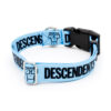 Descendents Blue Buckle 2.jpg