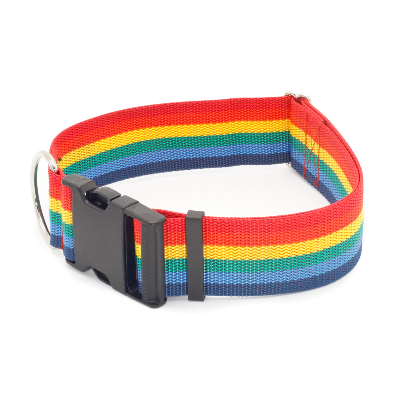 Rainbow 2 inch BUckle  (1 of 1).jpg