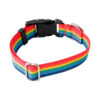 Rainbow 1 inch Buckle -1982.jpg
