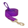 purple leash_.JPG