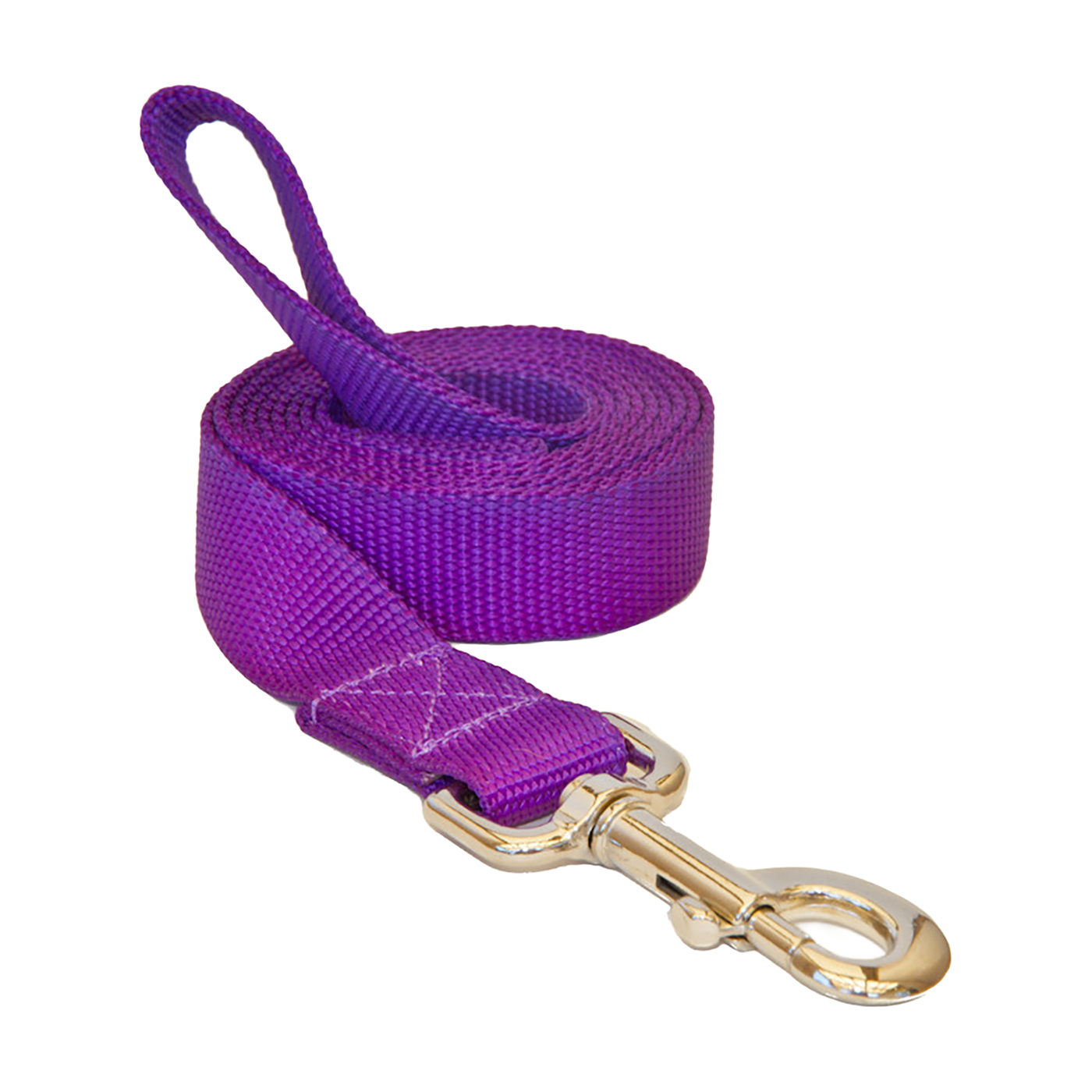 purple leash_.JPG