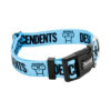 Descendents Blue Buckle_.jpg