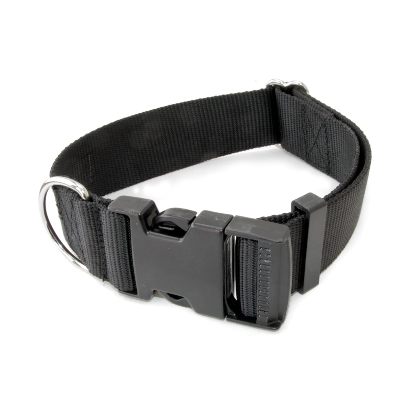 Black 1.5- Buckle -2974.jpg