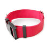 Red 1.5- Buckle -2976.jpg