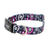 Pasiley Skull  X BUckle -1.jpg