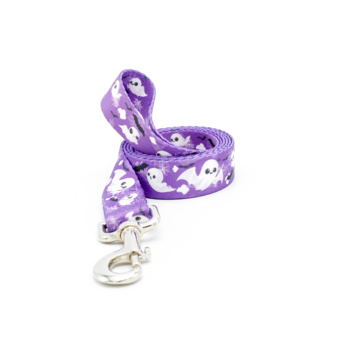 Bat Ghosts Leash