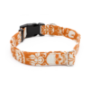 Orange Pumpkin and Skull Damask Collar