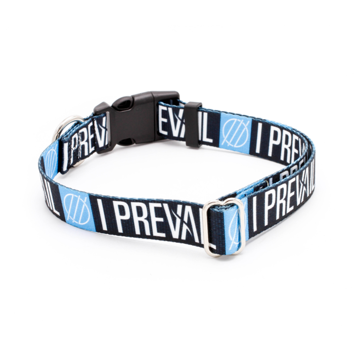 I Prevail 5/8" Wide Cat Collar