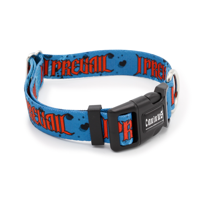 I Prevail Dog Collar